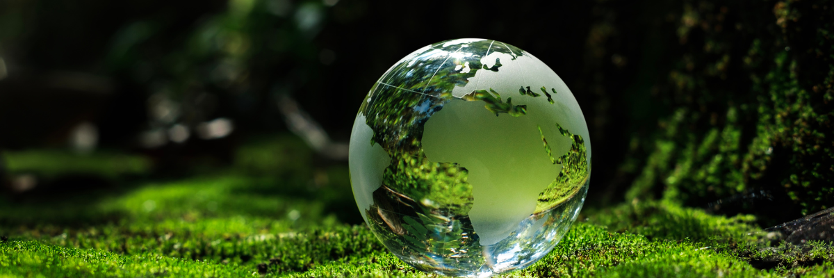 Wdrażanie Strategii ESG w Firmie - Klucz do Zrównoważonego Rozwoju